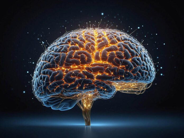 mentes_creativas_cerebros_mas_jovenes_estudio_internacional_demuestra_que_las_experiencias_creativas_retrasan_el_envejecimiento_cerebral_1