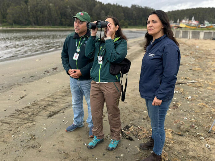 dia_de_la_fauna_chilena_autoridades_realizan_llamado_al_cuidado_y_conservacion_en_la_region_del_biobio_1
