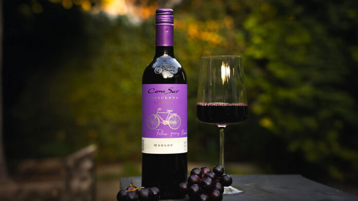 dia_del_merlot_un_vino_versatil_perfecto_para_disfrutar_1